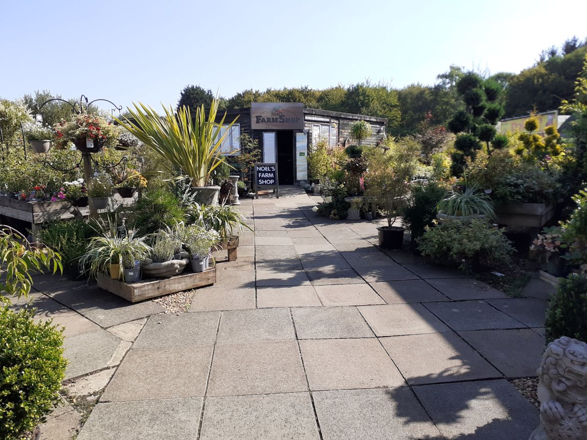 View towards Noel's farm shop at Sutton Green Garden Centre